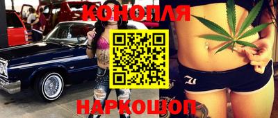 крисы Долгопрудный