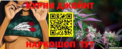 крисы Долгопрудный