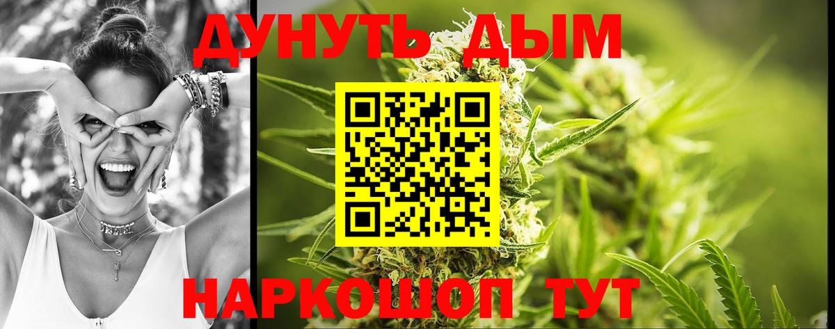 Каннабис ГИДРОПОН  Конопля конопля  Саранск  Вход с VPN 
